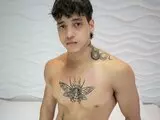 Camshow hd AndreHammer